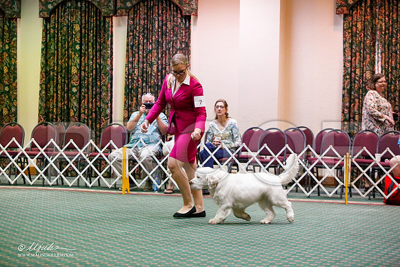 _JJ_5250-ClumberMar2015-HR3