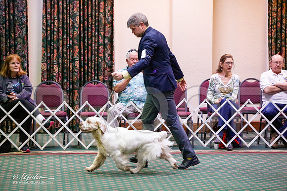 _JJ_5285-ClumberMar2015-HR3