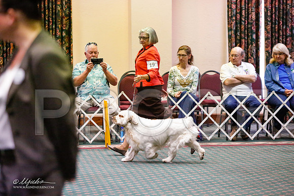 _JJ_5292-ClumberMar2015-HR3