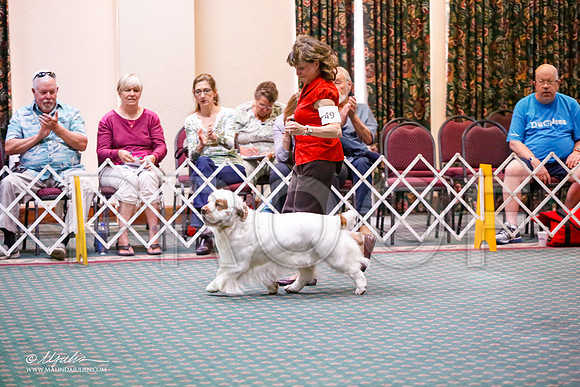 _JJ_5843-ClumberMar2015-HR3