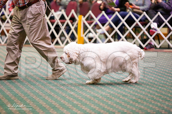 _JJ_5790-ClumberMar2015-HR3