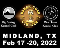 Midland 17-20 Feb 2022