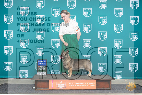 Swedish Vallhund #143 Sat1 G1 Judge Mary Ellen Meyer__JP_6498_BatesvilleMS_2024_HR3