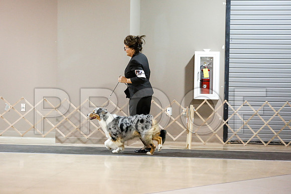 _RH_2815-ASCACollegeStationNov2014-HR3