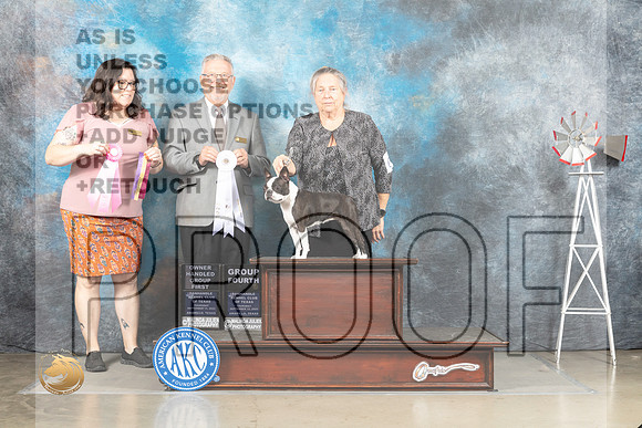 Boston Terrier #6 Thur BOBOHBOBOHG1 Judges Sherry Patton Alfred Ferruggiaro_MJ_3800_Amarillo_2022_HR3