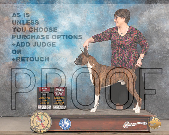 Boxer #11 Fri BOSOHBOB Judge Gary AndersenMMJ_5312_Mdlnd2022_HR3