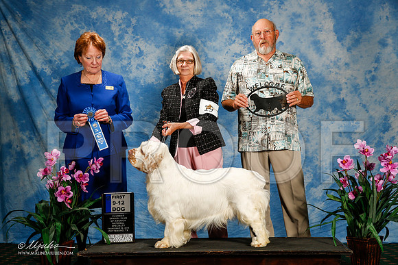 _ST_5698-2-ClumberMar2015-HR3