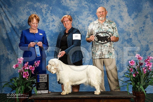 _ST_5745-ClumberMar2015-HR3