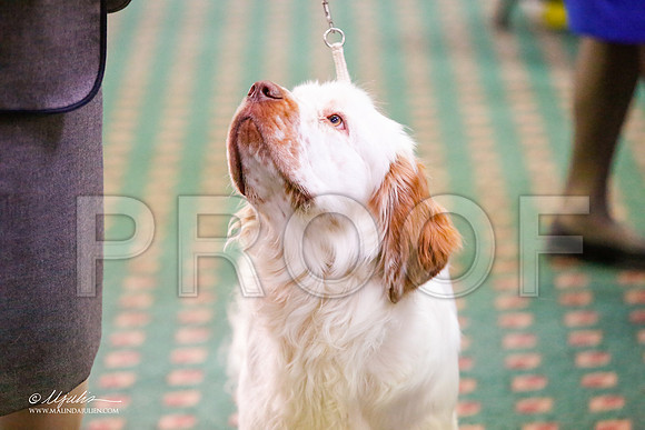 _JJ_7261-ClumberMar2015-HR3