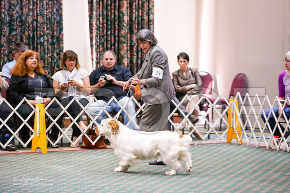 _JJ_7268-ClumberMar2015-HR3