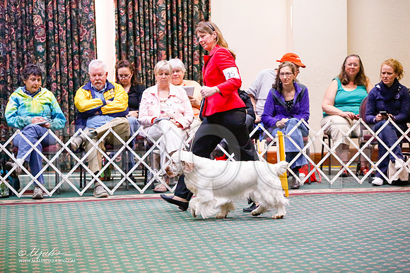 _JJ_7340-ClumberMar2015-HR3