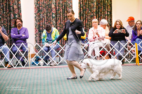 _JJ_8271-ClumberMar2015-HR3