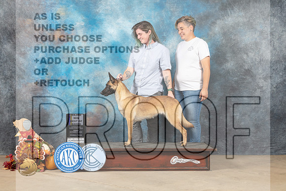 Belgian Malinois #10 Fri2 BOBOHBOBM Judge Rhonda Silveira_MJ_7698_Humble_2022_HR3