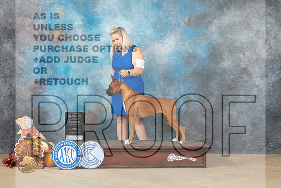 Boxer #14 Fri2 G2 Judge Krista Hansen_MJ_7651_Humble_2022_HR3