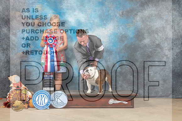 Bulldog #12 Fri2 BIS Judge Penny Disiena_MJ_7806_Humble_2022_HR3