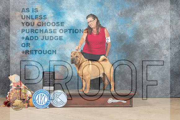 Chinese Shar Pei #5 Fri2 OHG1 Judge Sheila Paske_MJ_7760_Humble_2022_HR3