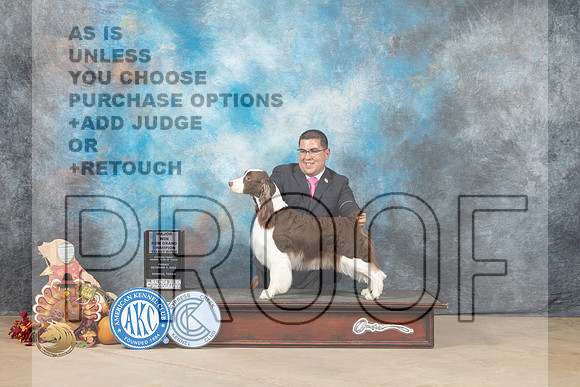 English Springer Spaniel #10 Fri1 SBGCh Judge John Lucas_MJ_7548_Humble_2022_HR3