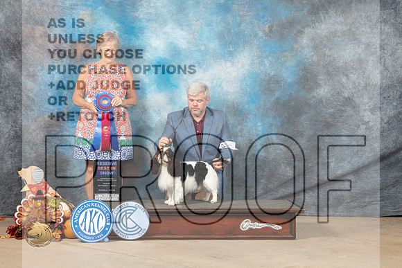 English Toy #5 Fri2 RBIS Judge Penny Disiena_MJ_7801_Humble_2022_HR3