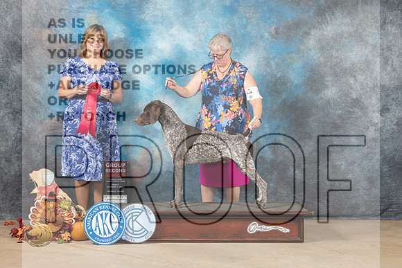 German Shorthaired Pointer #5 Fri1 G2 Judge Danelle Brown_MJ_7412_Humble_2022_HR3