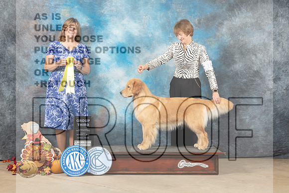 Golden Retriever #18 Fri1 G3 Judge Danelle Brown_MJ_7432_Humble_2022_HR3