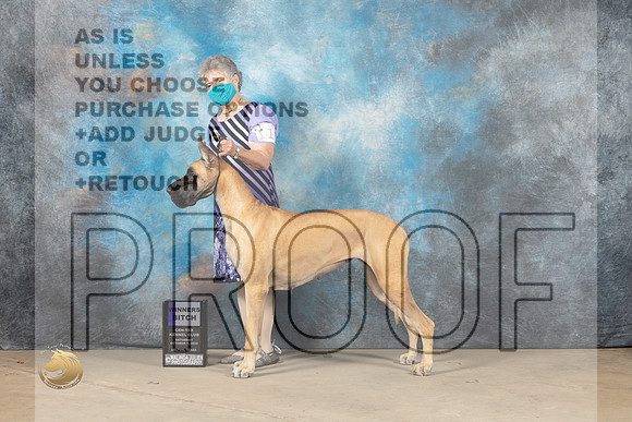 Great Dane Sat WB Belton_MJ_7150_Humble_2022_HR3