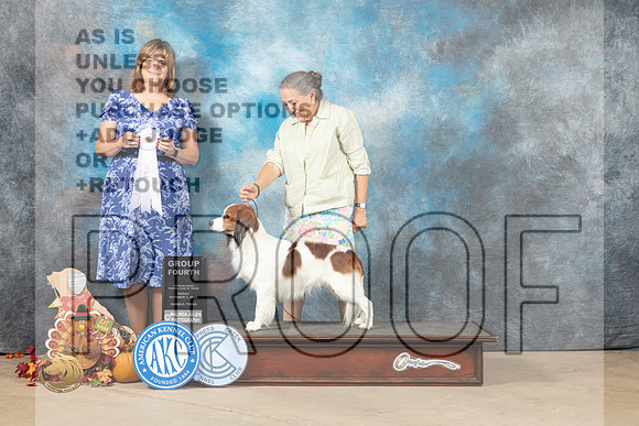 Nederlandse Kooikerhondje #5 Fri1 G4 Judge Danelle Brown_MJ_7436_Humble_2022_HR3