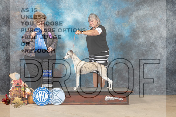 Whippet #8 Fri2 G1 Judge Judy Newton_MJ_7660_Humble_2022_HR3