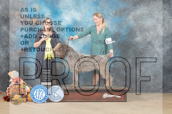 Wirehaired Pointing Griffon #? Fri2 G3 Judge Kathleen Brock_MJ_7796_Humble_2022_HR3