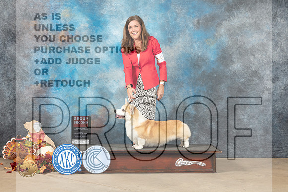 Pembroke Welsh Corgi #21 Fri1 G2 Judge Rhonda Silveira_MJ_7257_Humble_2022_HR3