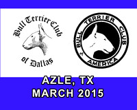 Bull Terrier Azle Mar 2015
