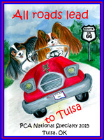 Papillon Nationals Tulsa Mar Apr 2015
