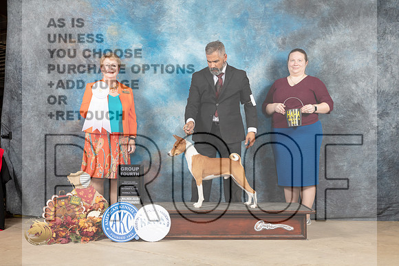 Basenji #9 Sat G4 Judge Janet Schwalbe_MJ_8312_Humble_2022_HR3