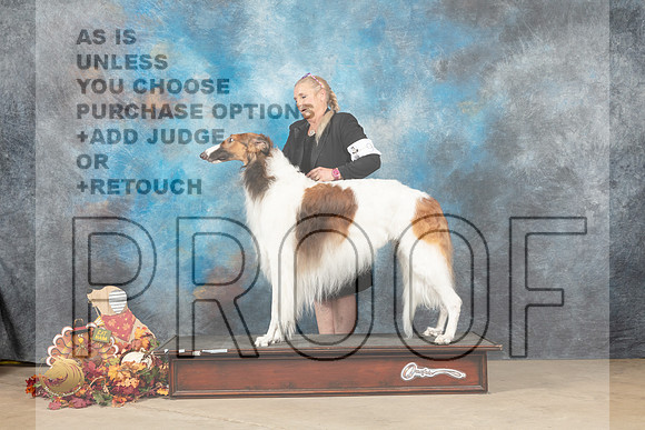 Borzoi #9 Sat_MJ_8237_Humble_2022_HR3