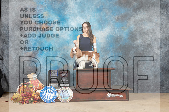 Cavalier King Charles Spaniel #14 Sat BOBBOWOHBOB Judge Azalea Alvarez_MJ_8148_Humble_2022_HR3