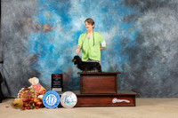 Dachshund Longhaired #20 Sat BOS Judge Danelle Brown