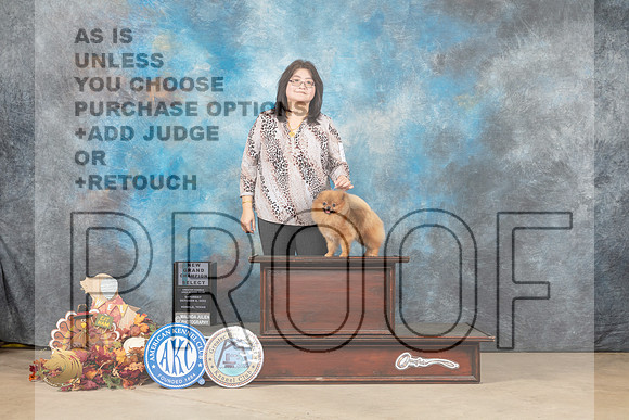 Pomeranian #21 Sat SDGCH Judge Azalea Alvarez_MJ_8548_Humble_2022_HR3