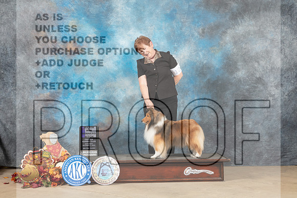 Shetland Sheepdog #12 Sat WBM Judge Cindy Meyer_MJ_8197_Humble_2022_HR3