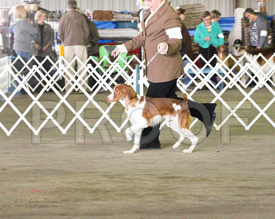 Brit3546