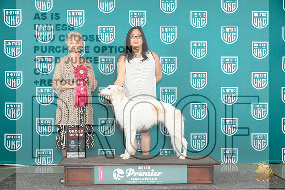 Silken Windhound #453 Sat G1 Sun G2 Judge Diane Price__JP_3191_Premier_2024_HR3