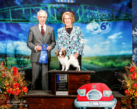 #16 Mon 6 to 9 Bitch 1st Jane Snider Judge Fred Bassett