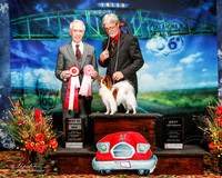 #228 MON Best Vet BOS Darlene Kelly Judge Fred Bassett