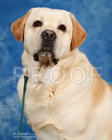 _ST_6892-SAJul2014-HR3
