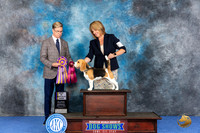Beagle 13 #12 WED BOB BISS Judge Douglas Johnson