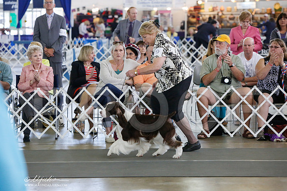 _JJ_1531-DallasJul2014-HR3