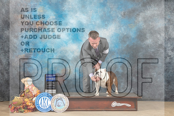 Bulldog #12 Sun G1 Judge Cindy Meyer_MJ_9352_Humble_2022_HR3