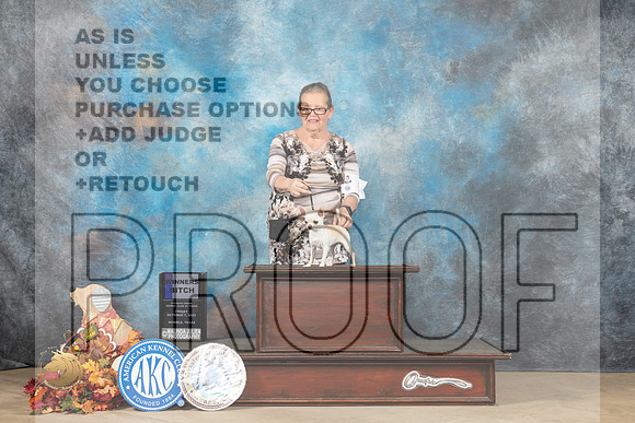 Chihuahua Smooth #7 Fri WB Judge Cindy Meyer r_MJ_9038_Humble_2022_HR3