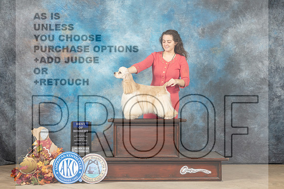 Cocker Spaniel ASCOB #8 Sat BOW Judge Jim Fehring_MJ_8891_Humble_2022_HR3