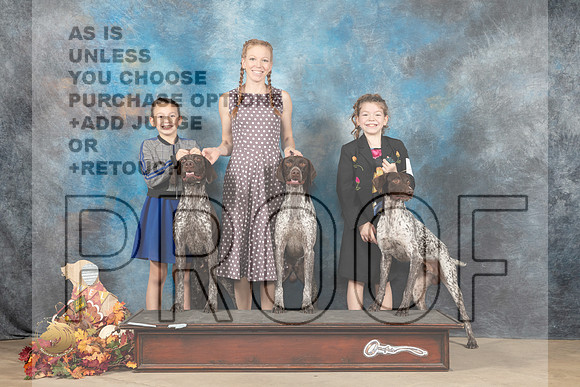 German Shorthaired POinter Family Sun_MJ_9056_Humble_2022_HR3