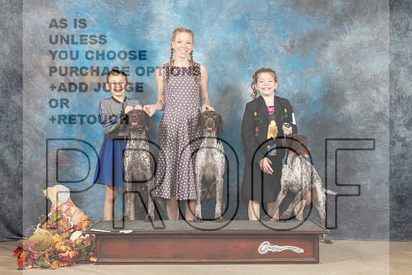 German Shorthaired POinter Family Sun_MJ_9057_Humble_2022_HR3