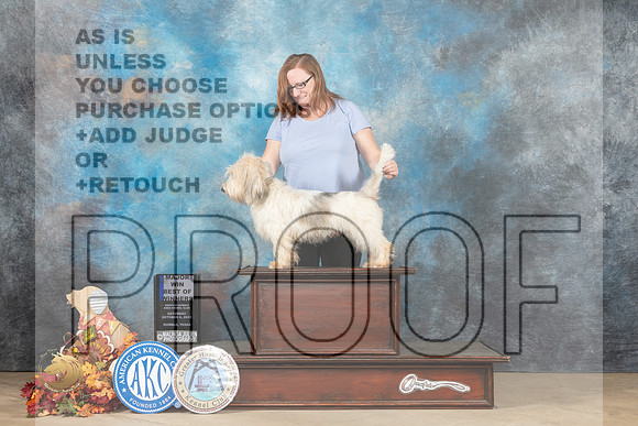 PBGV #7 Sat BOW Maj Judge Danelle Brown r_MJ_9097_Humble_2022_HR3